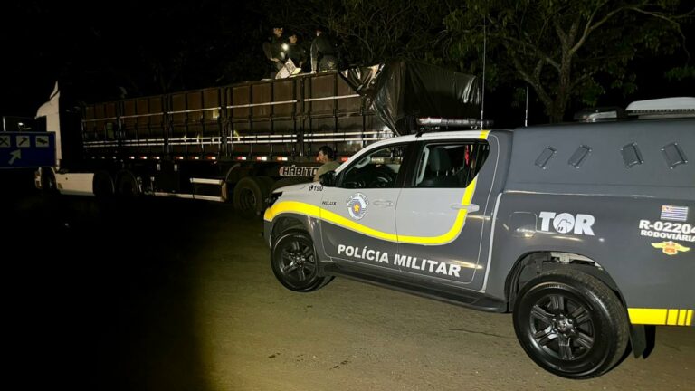 Motorista é preso com 311 kg de maconha escondidos em carga de arroz