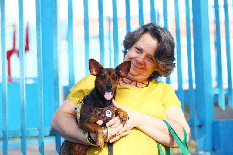 Prefeitura de São José dos Campos abre vagas para castrações gratuitas de cães e gatos