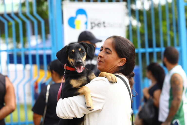 Castramóvel atende cães e gatos no Campo dos Alemães neste domingo