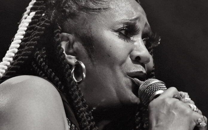 Mês da Música em São José continua com shows gratuitos e programação para todas as idades