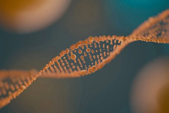 Lipoproteína (a): o “colesterol genético” que pode aumentar o risco de infarto e AVC