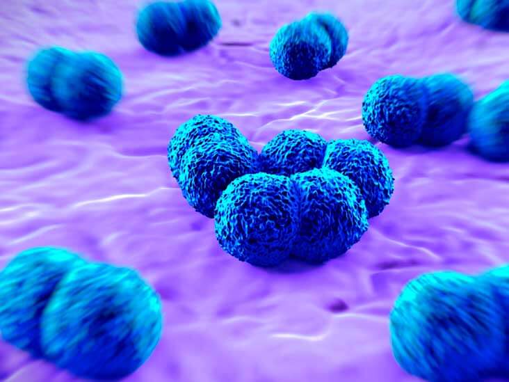 Em alerta: Praia Grande tem dois casos confirmados de meningite e um sob suspeita