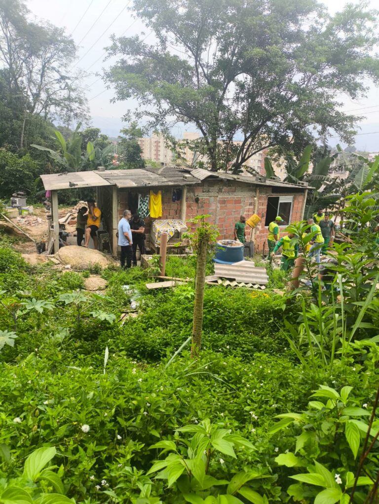 Força-tarefa flagra ocupações irregulares e crimes ambientais na Zona Noroeste de Santos