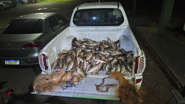 Pesca ilegal: Polícia Ambiental apreende mais de 100 kg de peixe