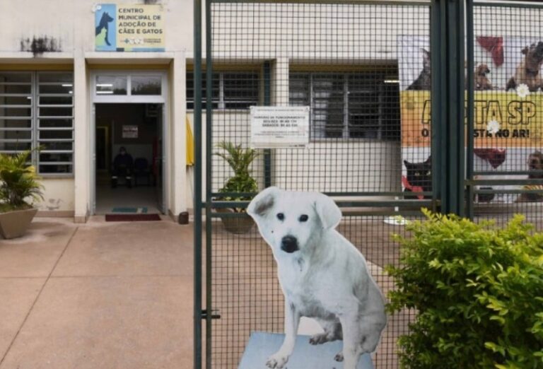 República dos Pets incentiva adoção e guarda responsável no feriado da Proclamação