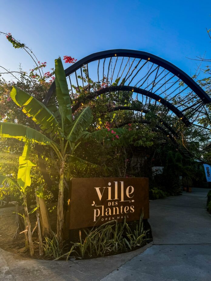 O evento será realizado nos dias 19 e 20 de dezembro, das 16h30 às 21h30, no Ville des Plantes, com acesso gratuito