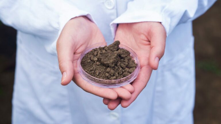 As inscrições devem ser feitas pelo Sistema Integrado de Gestão Acadêmica (SIGAA), entre os dias 12 e 26 de janeiro de 2026