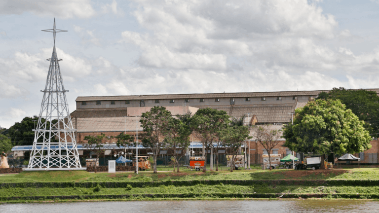 Árvore da Vida e Dona Capi serão oficialmente inauguradas nesta sexta