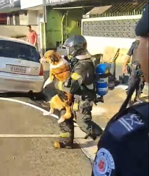 Bombeiros resgatam quatro crianças e cachorro de casa em chamas em Americana