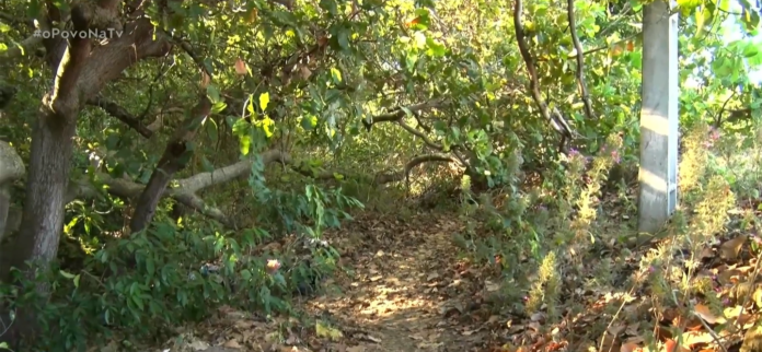 Fiscalização em trilha na falésia será intensificada pela Guarda Civil Metropolitana de João Pessoa