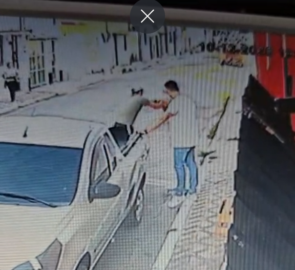 Homem é denunciado por maus-tratos após ser flagrado agredindo cachorro em Taubaté