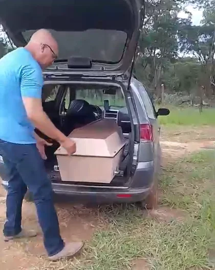 Ossada carbonizada é encontrada em terreno de Sumaré