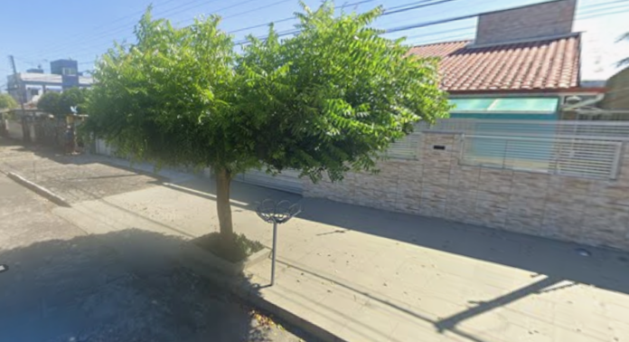 Imóveis com árvores e lixeira suspensa poderão ter desconto no IPTU em João Pessoa Imóveis com árvores e lixeira suspensa poderão ter desconto no IPTU em João Pessoa