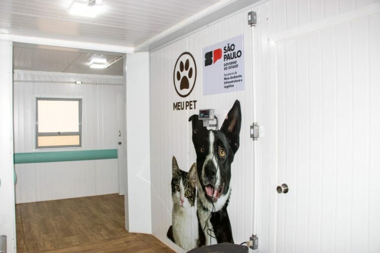 À espera da clínica, região de Ribeirão recebe atendimento veterinário com pet contêiner