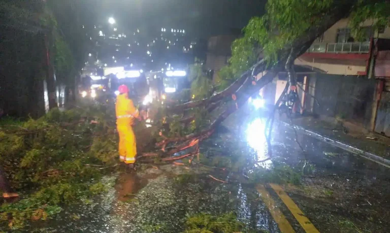 Ciclone causou estragos | Prefeitura Cotia