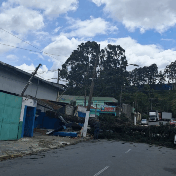 Queda de árvores interferem no fornecimento de energia | Reprodução Enel