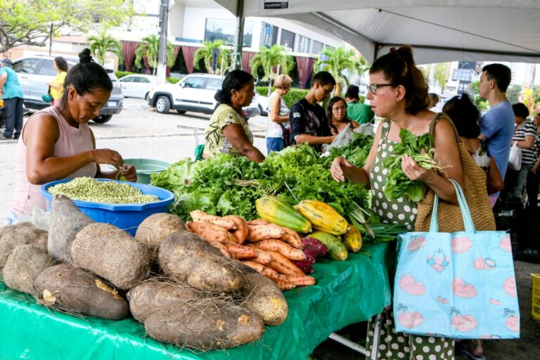 Feira da Agricultura Familiar de João Pessoa divulga programação de Dezembro