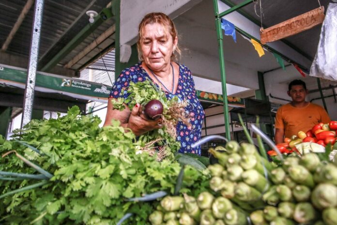 A Cecaf funciona regularmente às quintas-feiras e sábados, das 5h às 12h, e está localizada na Avenida Hilton Souto Maior
