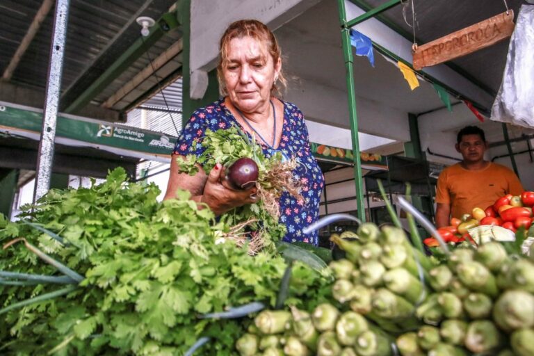 A Cecaf funciona regularmente às quintas-feiras e sábados, das 5h às 12h, e está localizada na Avenida Hilton Souto Maior