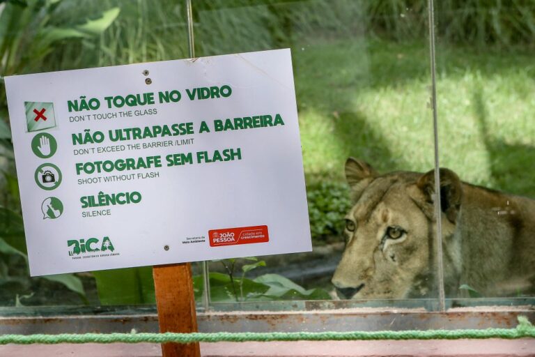 Parque da Bica é reaberto para visitação com novas medidas de segurança