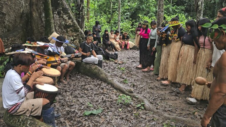 Startup de Praia Grande estuda implementar energia limpa em aldeia indígena no Acre