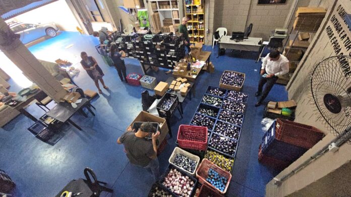 Polícia apreende uma tonelada de suplementos e produtos falsificados em galpão de Americana