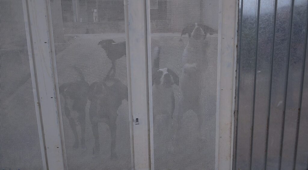 Homem morto após ataque de cães em São José é enterrado nesta sexta (5)