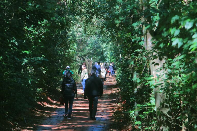 Mata de Santa Genebra promove atividades especiais de fim de ano com trilhas autoguiadas e visitas monitoradas