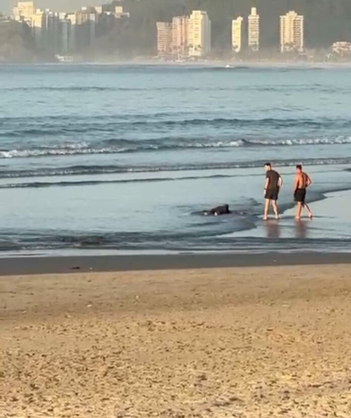 WhatsApp Image 2025-12-06 at 09.24.30