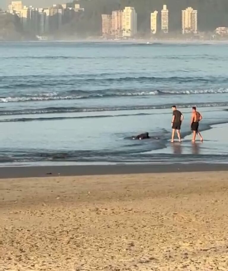 Homem morre baleado ao assaltar cabo do Exército em Guarujá