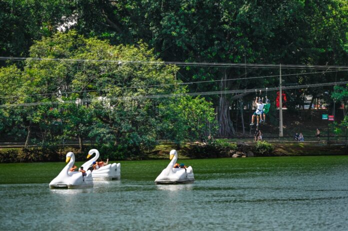 Após redução nas chuvas, Campinas reabre parques e bosques municipais