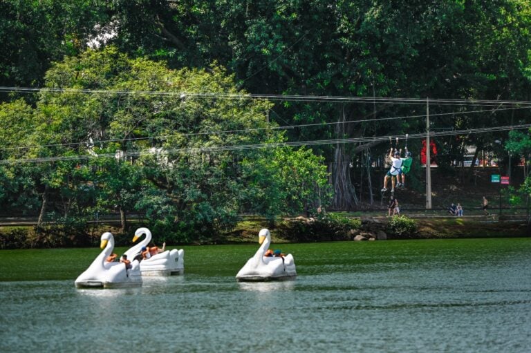 Após redução nas chuvas, Campinas reabre parques e bosques municipais