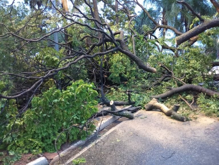 Prefeitura de Votuporanga