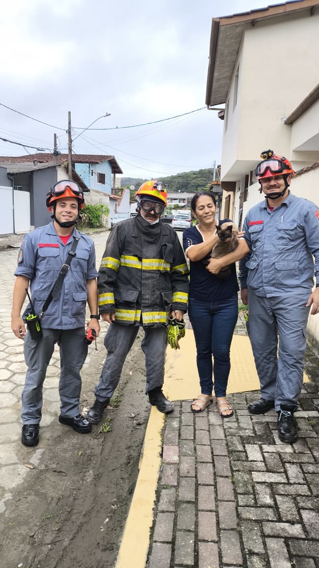 Corpo de Bombeiros resgata gato preso em telhado em Ubatuba