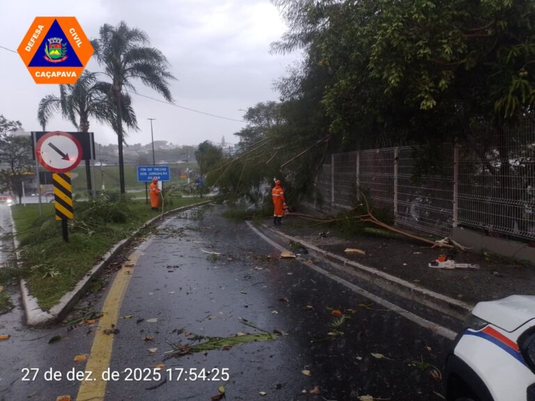 Chuva causa quedas de árvores, destelhamentos e deixa ponte danificada na região