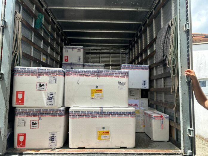 Vacina VSR Ao todo, chegaram 13.570 doses, que serão distribuídas para os 223 municípios conforme o número de gestantes de cada localidade