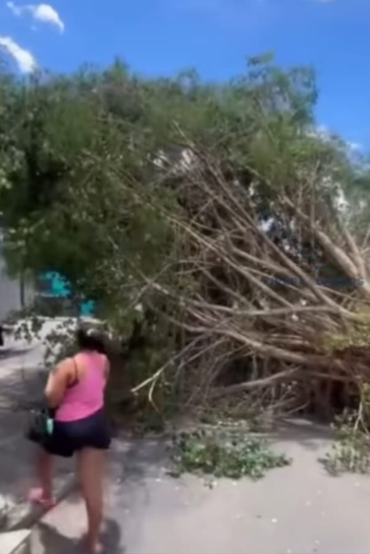 Rajadas de vento causam estragos na Baixada Santista; saiba mais