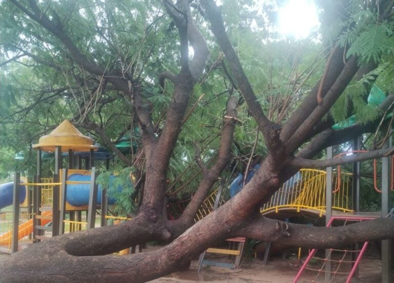 Temporal causa estragos e interdita parque em Votuporanga