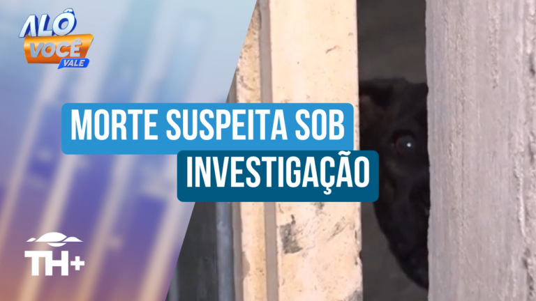 Cães que mataram homem em São José são resgatados