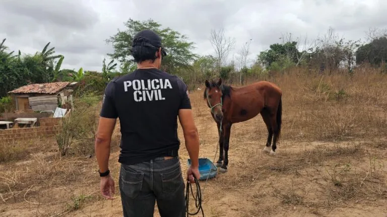 Cavalo que quase provocou acidente ao puxar carroça é resgatado pela Polícia Civil