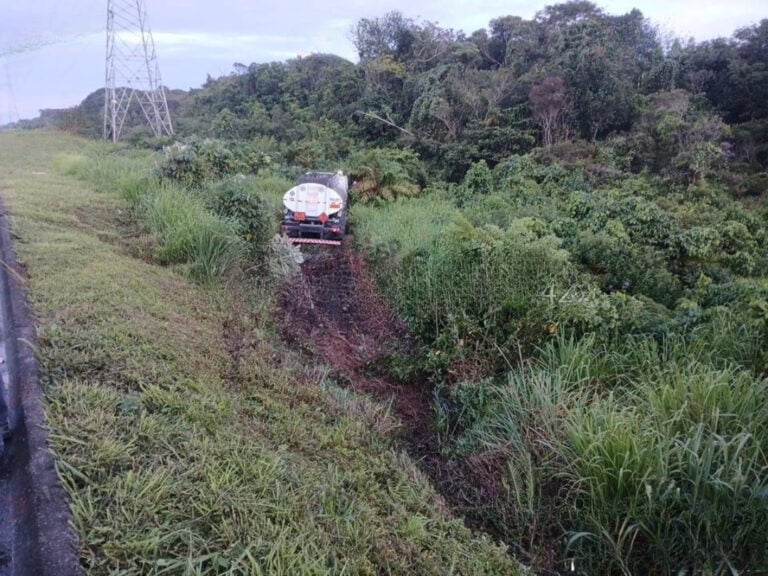 Caminhão despenca de barranco após motorista se assustar com besouro que invadiu a cabine