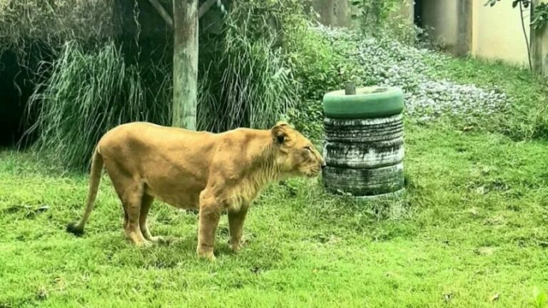 João Pessoa endurece regras para entrada em áreas sensíveis de Parque Zoobotânico