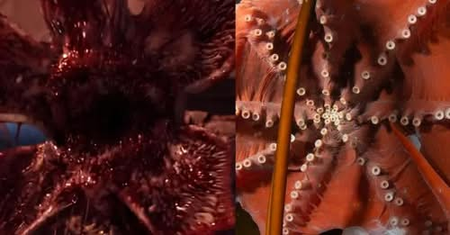 Criatura rara | Reprodução