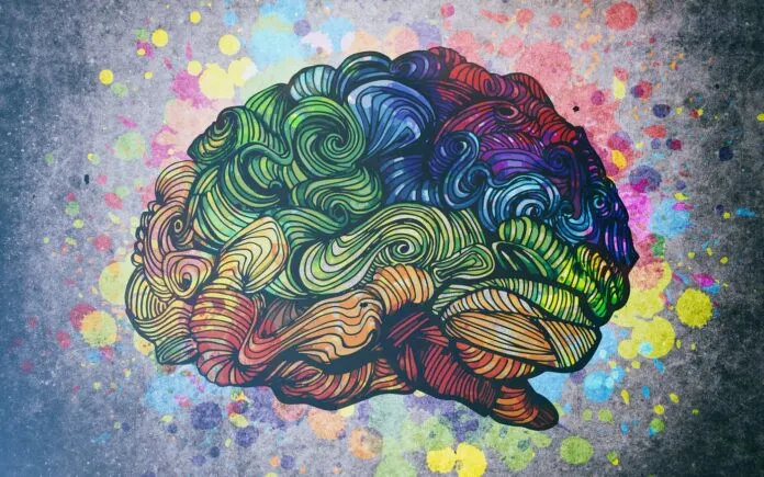 A neurociência demonstra que praticar a gratidão ativa regiões do cérebro associadas à recompensa, intensificando o sentimento de bem estar social.