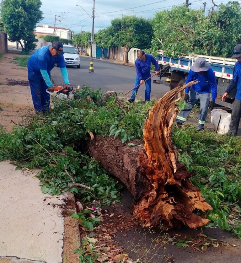 Presidente Epitácio decreta Situação de Emergência após temporal 