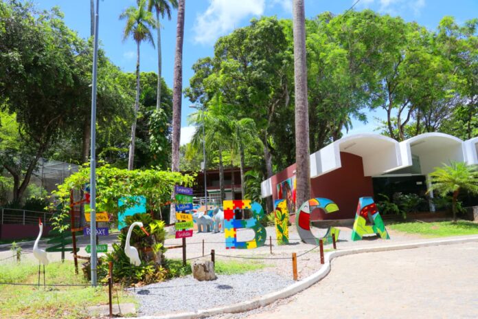 A proposta une aprendizado e contato com a natureza durante as férias escolares. As atividades começam às 9h30 pela manhã e às 13h30 à tarde