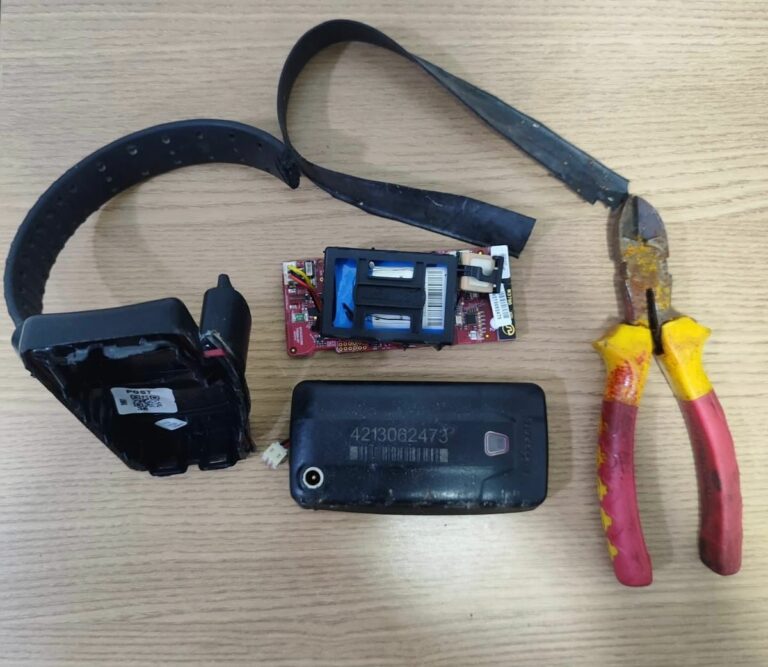 Preso rompe tornozeleira durante “saidinha” e volta para a cadeia