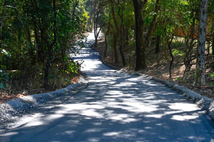 Bosque da Paz é um dos parques fechados neste sábado, 3 de janeiro