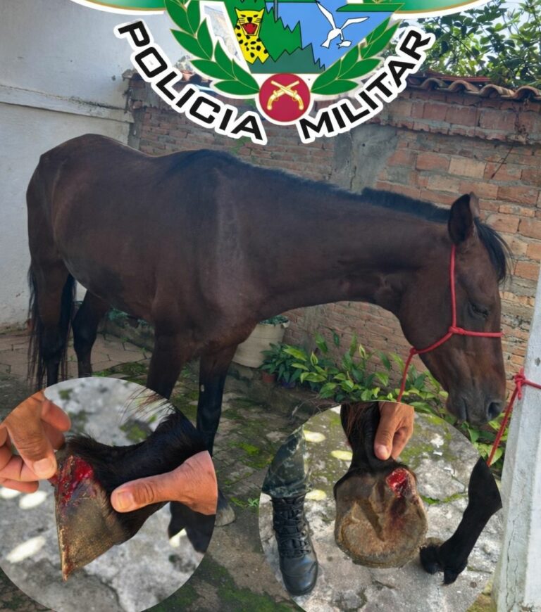 Homem é detido e multado em R$ 3 mil por cavalgar com animal sangrando em Cunha