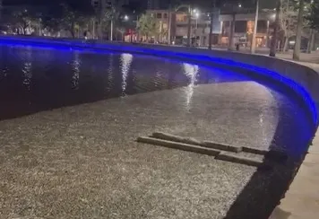 Centenas de peixes mortos aparecem no Açude Velho, em Campina Grande